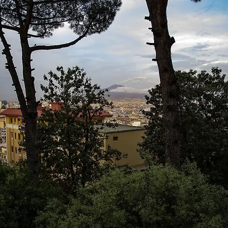 Cozy With View *